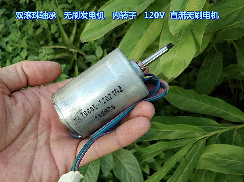 Double Ball Bearing DC120V Inner Rotor DC Brushless Motor Motor DIY Brushless Generator
Double Ball Bearing DC120V Inner Rotor DC Brushless Motor Motor DIY Brushless Generator