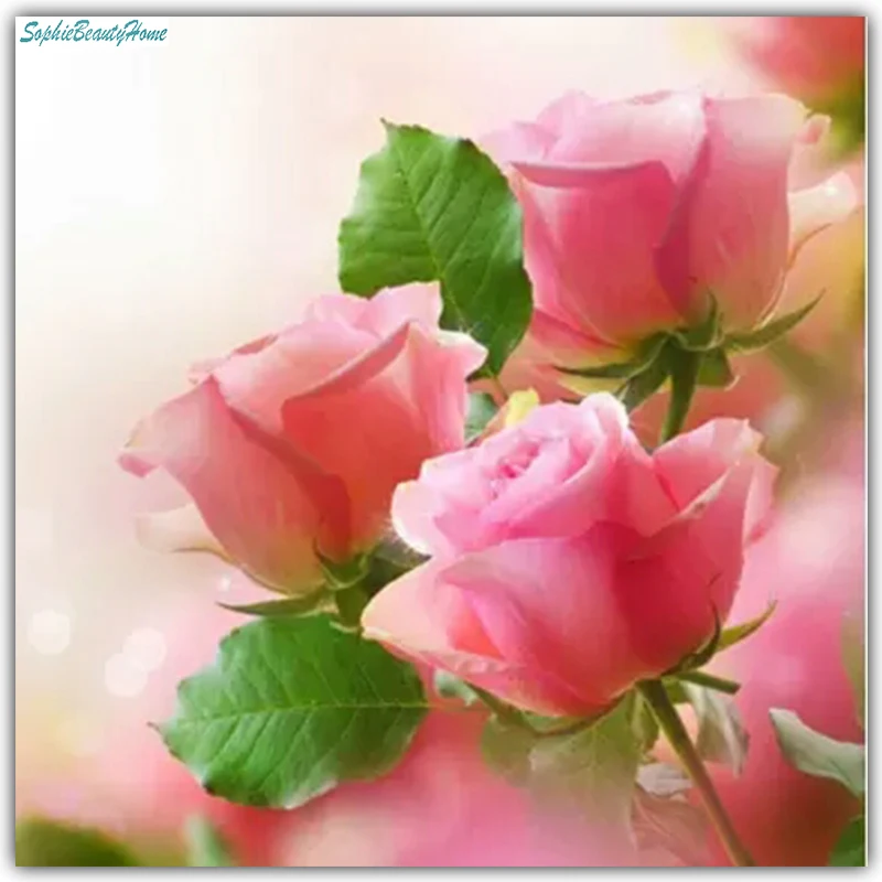 Sophie beauty home DIY 5D Diamond Embroidered Pink Rose Flower Cross stitch Wall Sticker Mosaic Pattern Handicrafts
Sophie beauty home DIY 5D Diamond Embroidered Pink Rose Flower Cross stitch Wall Sticker Mosaic Pattern Handicrafts