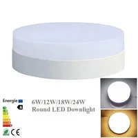 6W 12W 18W 24W LED Ceiling Downlight Surface Mounted Round LED Down light Warm White/White/Cold White AC85-265V L+ LED Driver
6W 12W 18W 24W LED Ceiling Downlight Surface Mounted Round LED Down light Warm White/White/Cold White AC85-265V L+ LED Driver