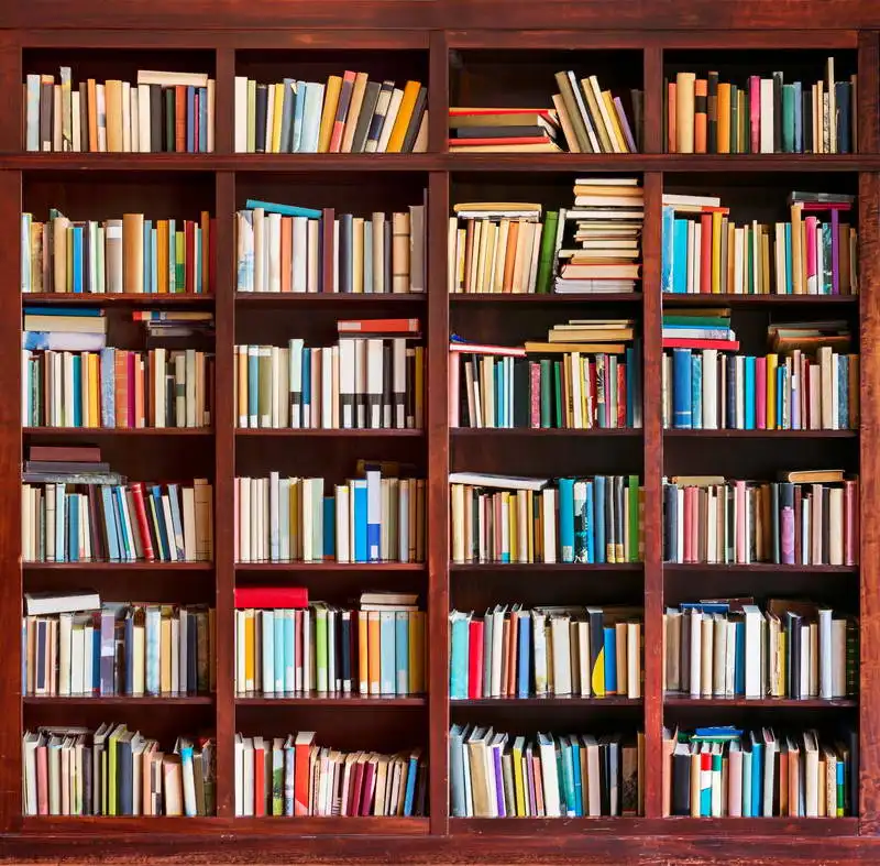 Bookshelf Photography Backdrops for wedding Digital Printed Background Vinyl for Studio Props fotografia Back to School Theme
Bookshelf Photography Backdrops for wedding Digital Printed Background Vinyl for Studio Props fotografia Back to School Theme