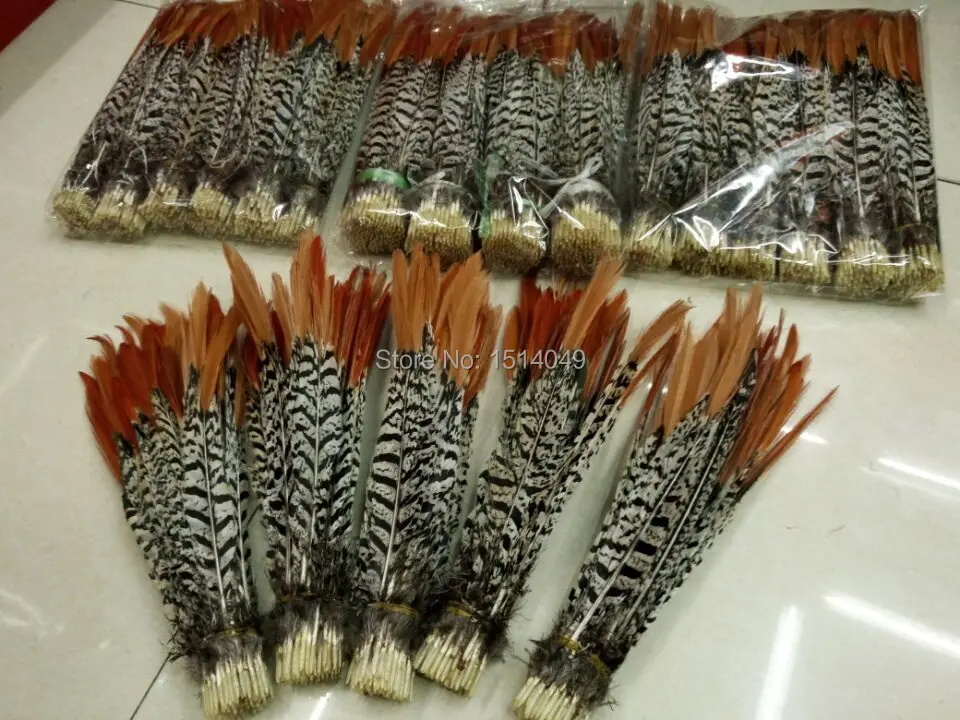 wholesale Scarce 50pcs high quality beatiful natural cover chicken feathers 25-30cm / 10-12inch decorative
wholesale Scarce 50pcs high quality beatiful natural cover chicken feathers 25-30cm / 10-12inch decorative