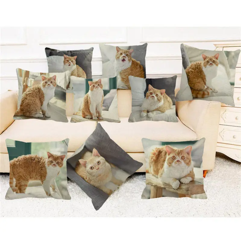 XUNYU Beautiful Selkek Curl cat Cushion Cover 45X45cm Pillow Case Home Decorative Throw Pillowcase Cover for Sofa Car Cojines
XUNYU Beautiful Selkek Curl cat Cushion Cover 45X45cm Pillow Case Home Decorative Throw Pillowcase Cover for Sofa Car Cojines