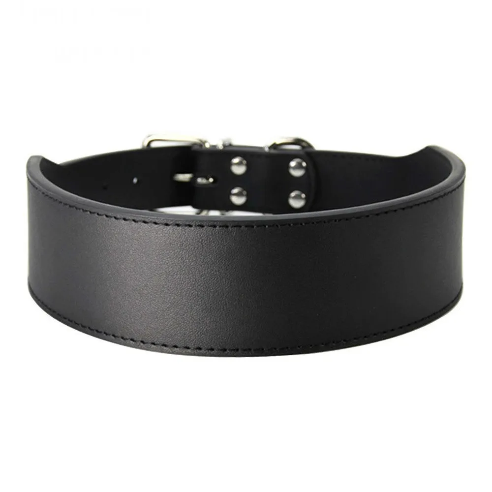 Dog Microfibre Skin Big Dog Dog Dog Ball Hasky Hidden Dog Dog Dog Dog Dog Belt Black, Pink, Blue And Red House Ahini Animals
Dog Microfibre Skin Big Dog Dog Dog Ball Hasky Hidden Dog Dog Dog Dog Dog Belt Black, Pink, Blue And Red House Ahini Animals