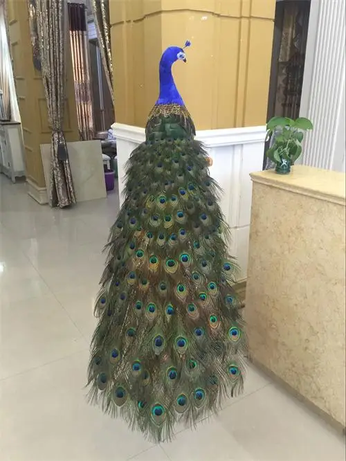 beautiful feathers simulation peacock model large 150cm peacock bird handicraft prop,home garden decoration gift p2042
beautiful feathers simulation peacock model large 150cm peacock bird handicraft prop,home garden decoration gift p2042