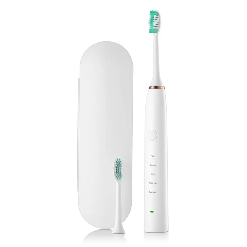 USB Charging Waterproof Tooth Brushes Rechargeable Ultrasonic Presented 2 Toothbrush heads Sonic Brush Electric Toothbrush
USB Charging Waterproof Tooth Brushes Rechargeable Ultrasonic Presented 2 Toothbrush heads Sonic Brush Electric Toothbrush