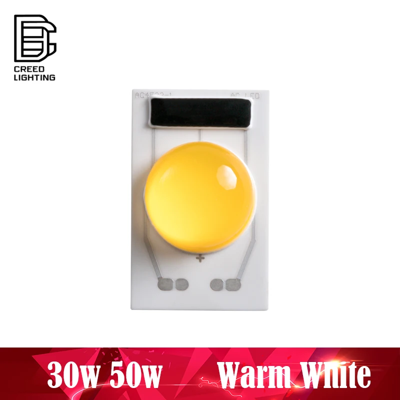 Светодиодный COB лампы постоянного тока чип 30 Вт 50 AC 110 В 220 Теплый белый Вход Smart IC