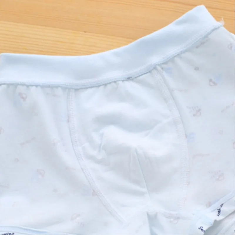 5Pc/pack Kids Boxers Boys Underwear Cartoon Baby Panties Cotton Boys Underpants Panties for Boys 3-8year 
5Pc/pack Kids Boxers Boys Underwear Cartoon Baby Panties Cotton Boys Underpants Panties for Boys 3-8year