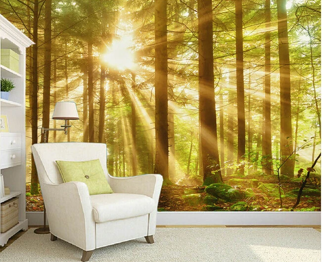 Custom landscape wallpaper, the sun through the forest landscape for living room bedroom TV background wall waterproof wallpaper
Custom landscape wallpaper, the sun through the forest landscape for living room bedroom TV background wall waterproof wallpaper