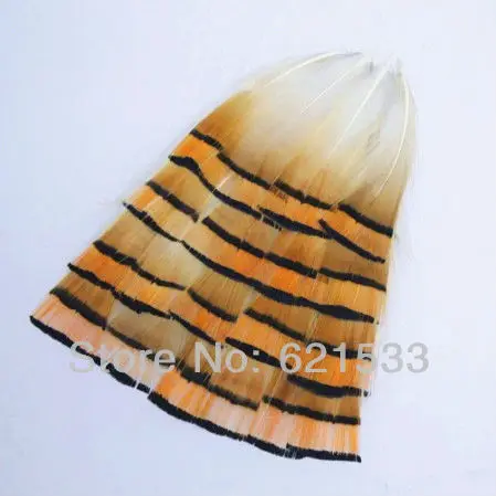 100Pcs/Lot 2-4" 4-10cm Natural Golden Pheasant Tippet Feathers Cheap,Short Feathers,Craft Feathers,Orange Feathers
100Pcs/Lot 2-4" 4-10cm Natural Golden Pheasant Tippet Feathers Cheap,Short Feathers,Craft Feathers,Orange Feathers