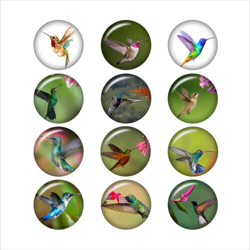 Смешанные стеклянные кнопки ювелирные изделия Humming Bird для самостоятельной сборки 18 мм Кнопка застежка браслет ожерелье ювелирные изделия
Смешанные стеклянные кнопки ювелирные изделия Humming Bird для самостоятельной сборки 18 мм Кнопка застежка браслет ожерелье ювелирные изделия