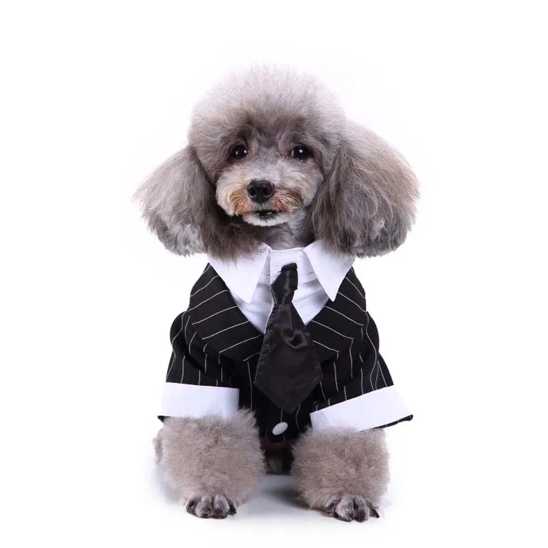 Newly Design Classic Tuxedo Suit Pet Dog Coat Simple Design Cravat Clothes for Small Dogs Wedding Party Suit Winter Warm Costume
Newly Design Classic Tuxedo Suit Pet Dog Coat Simple Design Cravat Clothes for Small Dogs Wedding Party Suit Winter Warm Costume