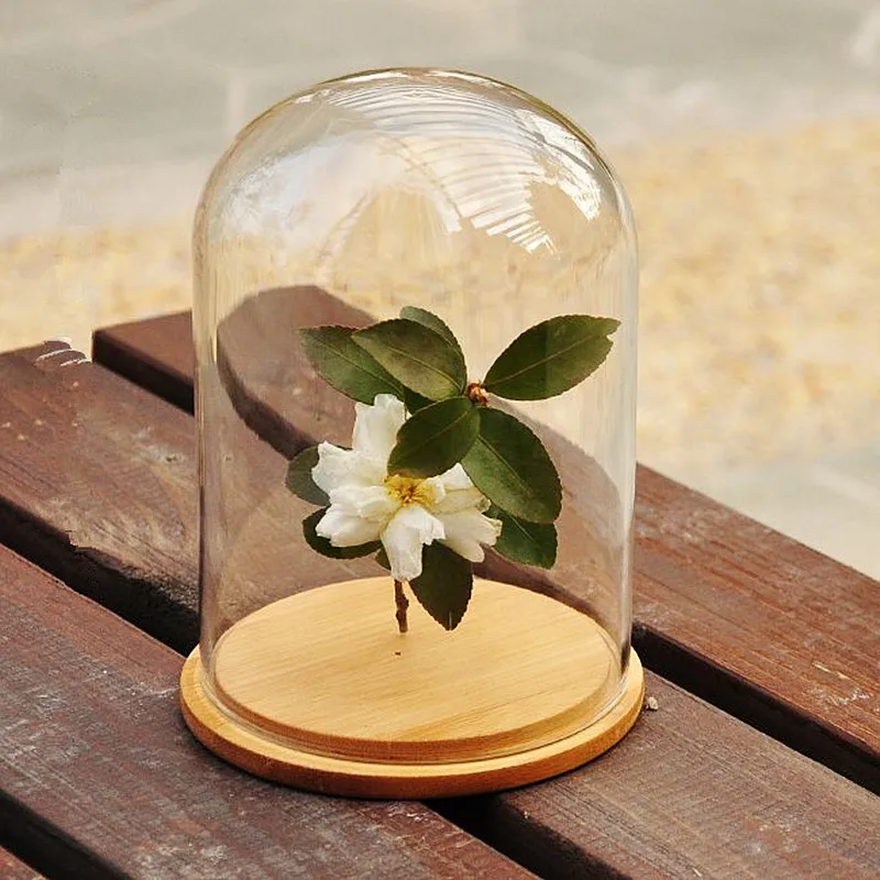 Gass Shade Glass Bell Jar Bell Flowers Glass Dome cap with Wood Base Home Decor decoration vases cover shaped transparent empty
Gass Shade Glass Bell Jar Bell Flowers Glass Dome cap with Wood Base Home Decor decoration vases cover shaped transparent empty