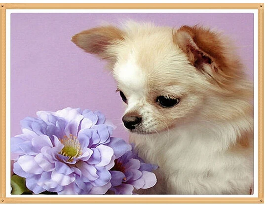 Purple Flower Dog Diy Diamond Painting Square/round Drill Rhinestone Cross Stitch Rhinestone Crafts
Purple Flower Dog Diy Diamond Painting Square/round Drill Rhinestone Cross Stitch Rhinestone Crafts
