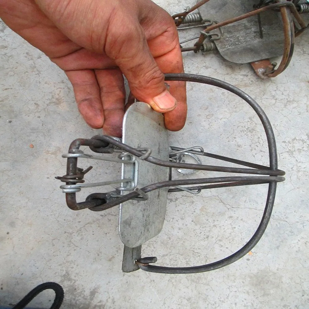 Best Sell Vole Trap Vole Killer Diameter 130MM Eaquel 5.12 inch Free Shipping From China
Best Sell Vole Trap Vole Killer Diameter 130MM Eaquel 5.12 inch Free Shipping From China