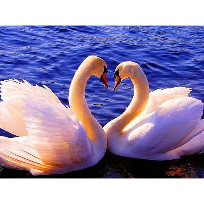 Needlework Diamond Painting Cross Stitch A Pair Of Diamond Embroidery Blue Ocean Swan Full Square Mosaic Picture White Swan CQ50
Needlework Diamond Painting Cross Stitch A Pair Of Diamond Embroidery Blue Ocean Swan Full Square Mosaic Picture White Swan CQ50