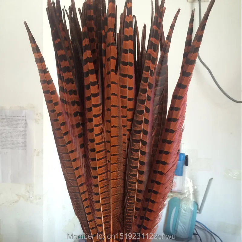 Wholesale 200 pcs beautiful Orange Pheasant Feather 16-18 inches 40-45 cm free shipping
Wholesale 200 pcs beautiful Orange Pheasant Feather 16-18 inches 40-45 cm free shipping