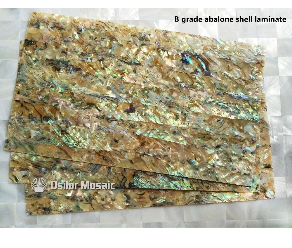 B grade natural surface abalone paua shell laminate for musical instrument and furniture inlay
B grade natural surface abalone paua shell laminate for musical instrument and furniture inlay
