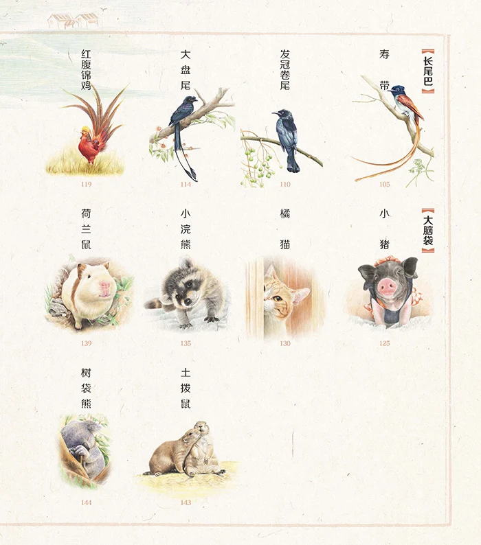 New The colored pencil painting tutorial of adorable animals Cute animal sketch coloring drawing book for adult
New The colored pencil painting tutorial of adorable animals Cute animal sketch coloring drawing book for adult