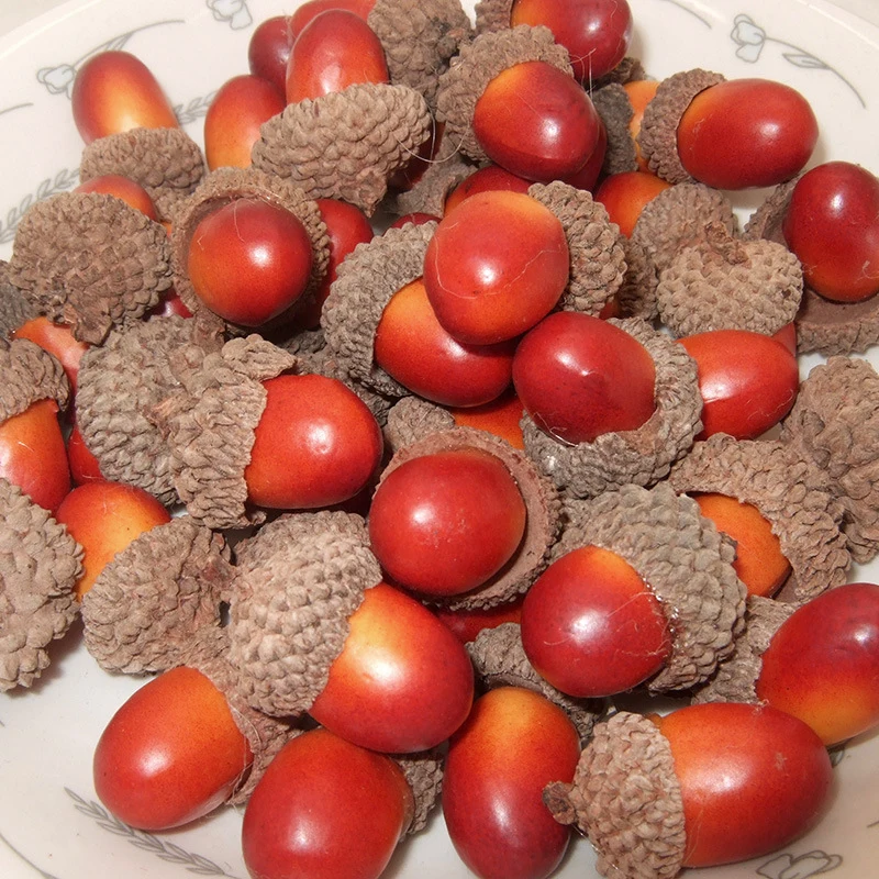 10Pcs Artificial Simulation Mini Acorn Oak Nut Fake Fruit Ornament Home Decor Super Vivid Realistic
10Pcs Artificial Simulation Mini Acorn Oak Nut Fake Fruit Ornament Home Decor Super Vivid Realistic