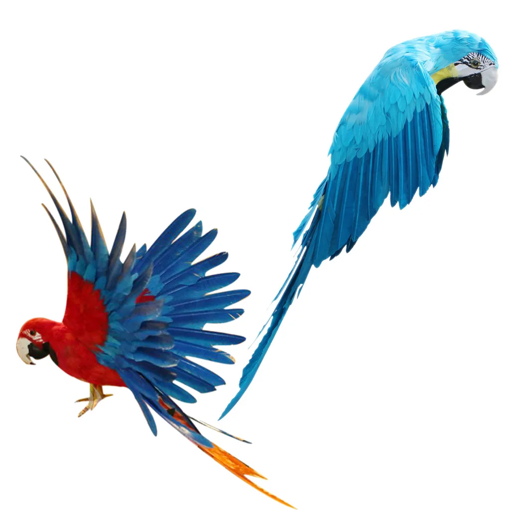 Set 2pc Artificial Realistic Parrots Birds For Garden Weding Home Decoration High Textural Quality Color
Set 2pc Artificial Realistic Parrots Birds For Garden Weding Home Decoration High Textural Quality Color