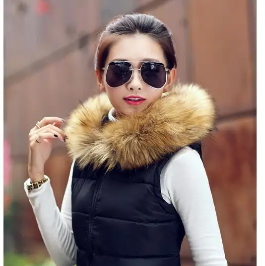New Korean 2017Autumn Winter High-end Big Yards Women Feather Cotton Slim Vest Fashion Hooded Collars Joker Warm Vest Q622
New Korean 2017Autumn Winter High-end Big Yards Women Feather Cotton Slim Vest Fashion Hooded Collars Joker Warm Vest Q622