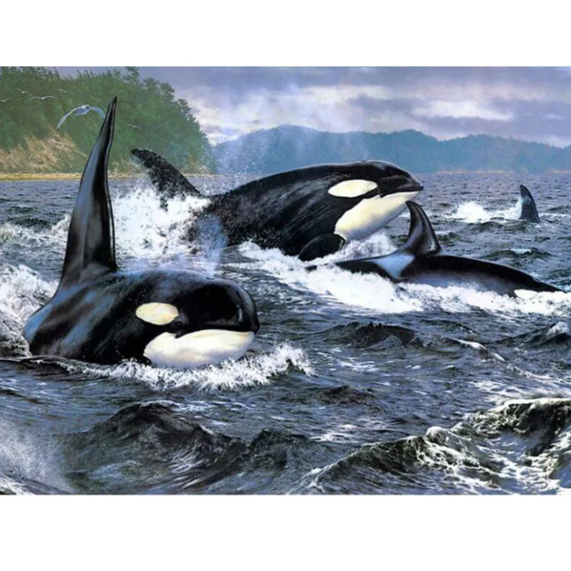 Hobbies and Crafts 5D Diy Diamond Painting Full Square/Round Pictures Cross Stitch Diamond Painting Sea Whales Mosaic Home Decor
Hobbies and Crafts 5D Diy Diamond Painting Full Square/Round Pictures Cross Stitch Diamond Painting Sea Whales Mosaic Home Decor