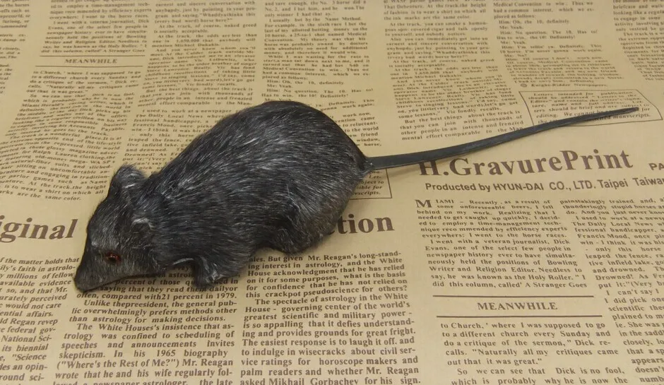 cute Simulation gray mouse toy polyethylene&furs small mouse model gift about 10x5cm y0345
cute Simulation gray mouse toy polyethylene&furs small mouse model gift about 10x5cm y0345