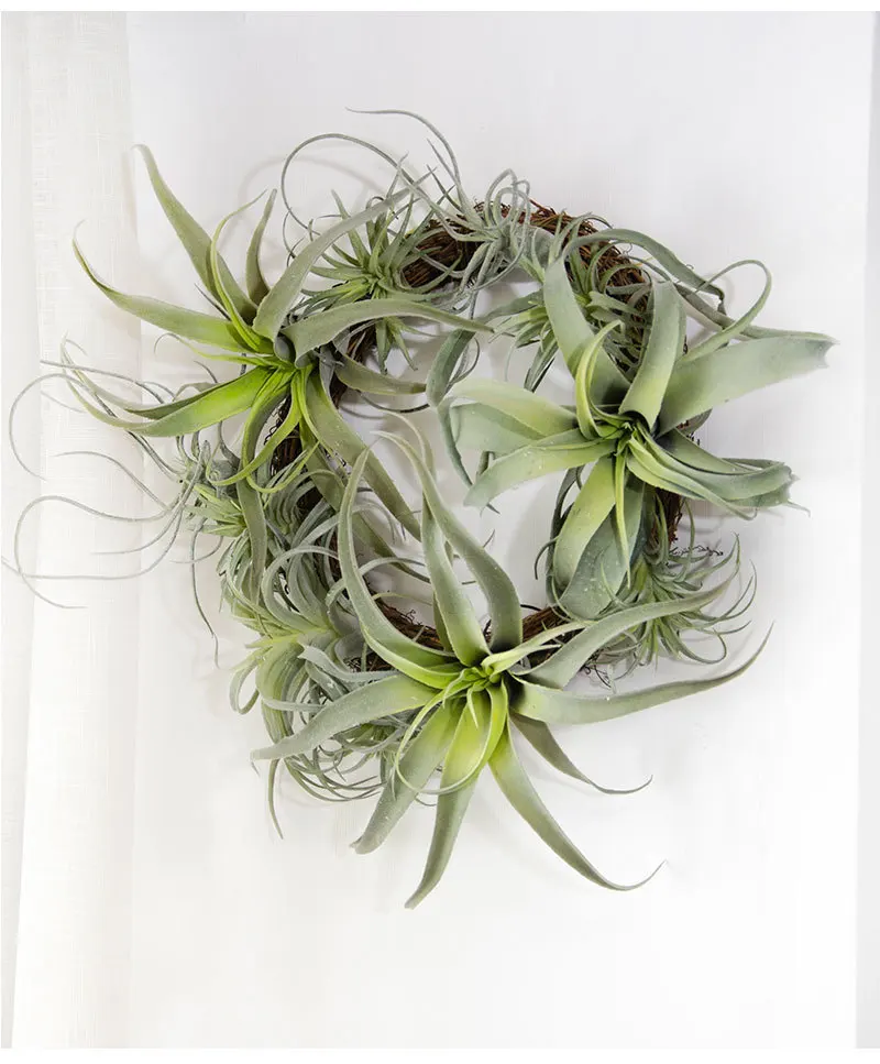Детский Осьминог из хлопка bulbosa, искусственная аэропосадка, тилландсия, капиталита, стептофилла, usneoid, как настоящее растение, суккулент
Детский Осьминог из хлопка bulbosa, искусственная аэропосадка, тилландсия, капиталита, стептофилла, usneoid, как настоящее растение, суккулент