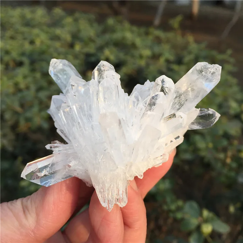 Beautiful High Quality Natural Clear Quartz Crystal Cluster Minerals Great for Meditation Positive Healing Chakra Reiki Stone
Beautiful High Quality Natural Clear Quartz Crystal Cluster Minerals Great for Meditation Positive Healing Chakra Reiki Stone