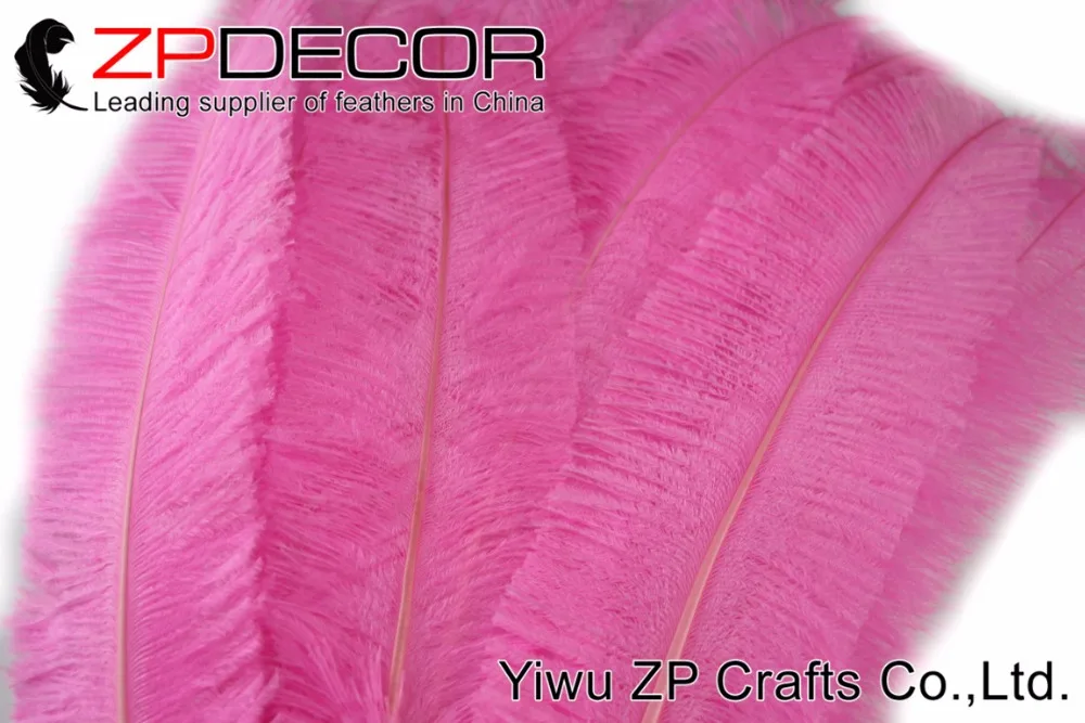 ZPDECOR FREE SHIPPING 50pcs/lot 50-55CM(22-24inch) Pink Ostrich Nandu Trimed Feathers for Hats/Craft/Costume/Wedding
ZPDECOR FREE SHIPPING 50pcs/lot 50-55CM(22-24inch) Pink Ostrich Nandu Trimed Feathers for Hats/Craft/Costume/Wedding
