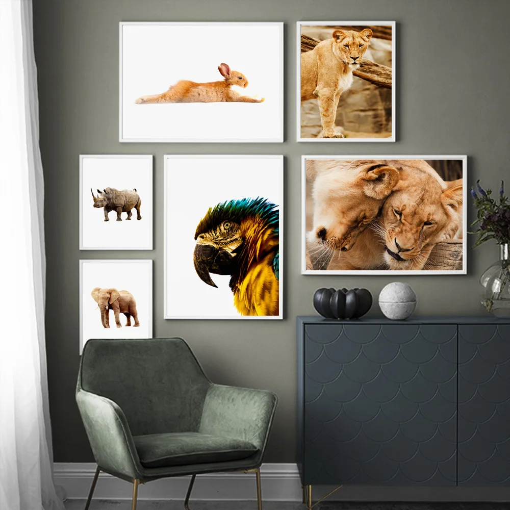 Tiger Rhinoceros Elephant Parrot Rabbit Wall Art Canvas Painting Nordic Posters And Prints Wall Pictures for Living Room Decor
Tiger Rhinoceros Elephant Parrot Rabbit Wall Art Canvas Painting Nordic Posters And Prints Wall Pictures for Living Room Decor