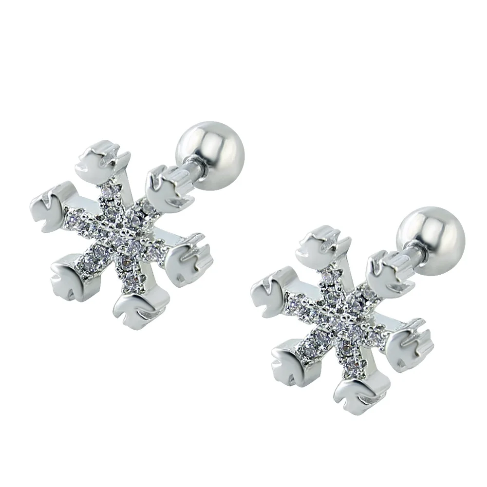 Crystal Ear Studs Snowflake Stud Earrings Elegant Girl Women Earrings Helix Piercing Jewelry Stainless Steel Women Jewelry
Crystal Ear Studs Snowflake Stud Earrings Elegant Girl Women Earrings Helix Piercing Jewelry Stainless Steel Women Jewelry