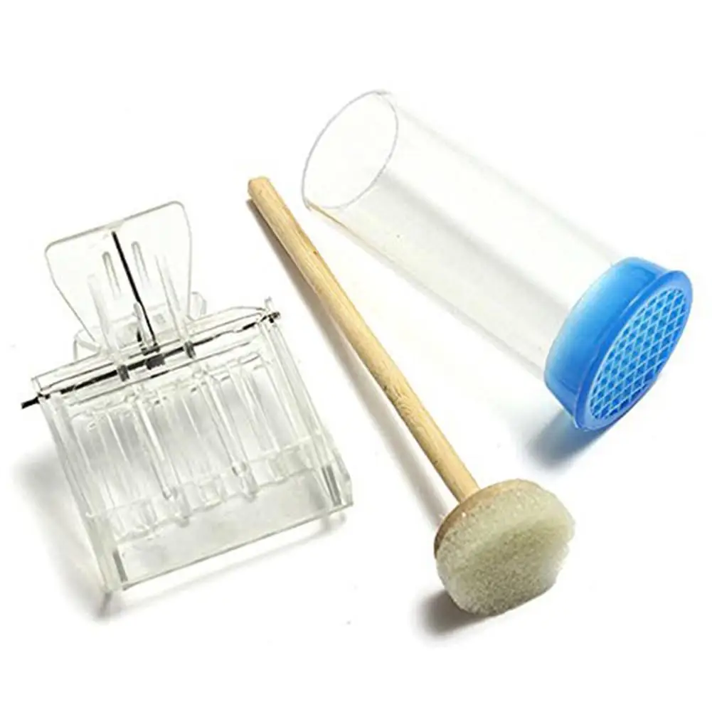 8 in 1 Beekeeping Tool Kit Set Stainless Steel Beekeeping Bee Hive Smoker Kit Bee Hive Smoker Brush Scraper Equipment Tools Set
8 in 1 Beekeeping Tool Kit Set Stainless Steel Beekeeping Bee Hive Smoker Kit Bee Hive Smoker Brush Scraper Equipment Tools Set