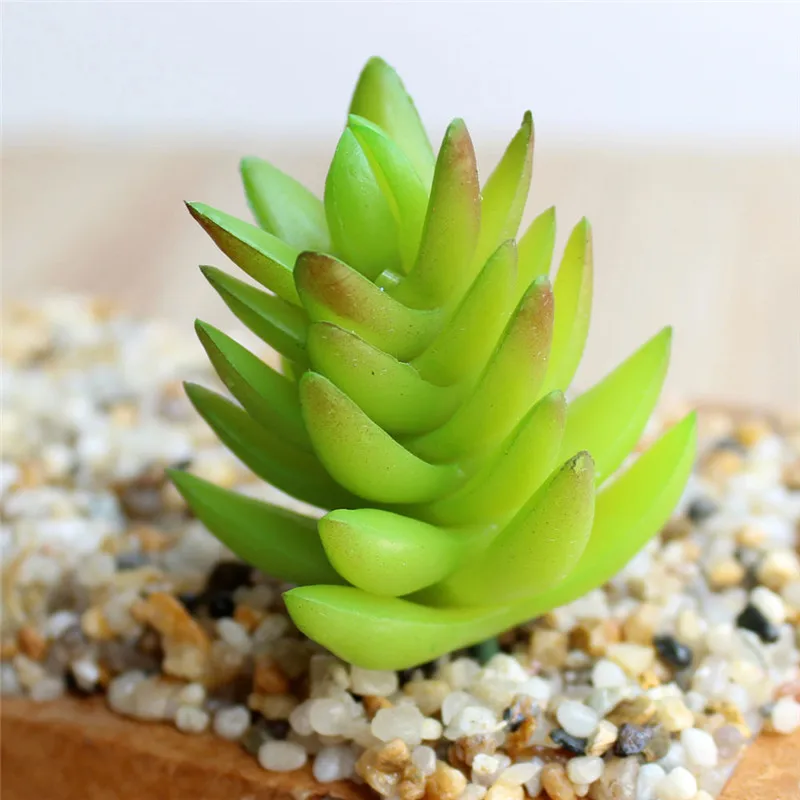 Green Fake Succulents Plants Aloe Artificial Succulent Stems Mini Plastic Flowers Wedding Party Ornaments Home Garden Decoration
Green Fake Succulents Plants Aloe Artificial Succulent Stems Mini Plastic Flowers Wedding Party Ornaments Home Garden Decoration