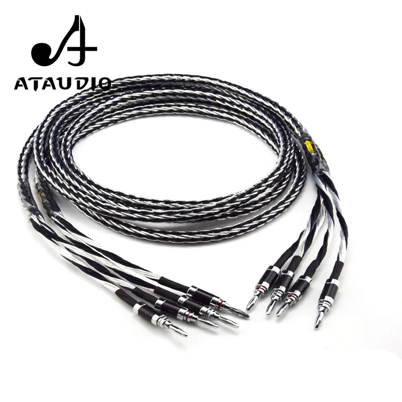 Кабель Динамика ATAUDIO Hi-Fi, медный и серебряный провод динамика с банановым разъемом из углеродного волокна
Кабель Динамика ATAUDIO Hi-Fi, медный и серебряный провод динамика с банановым разъемом из углеродного волокна