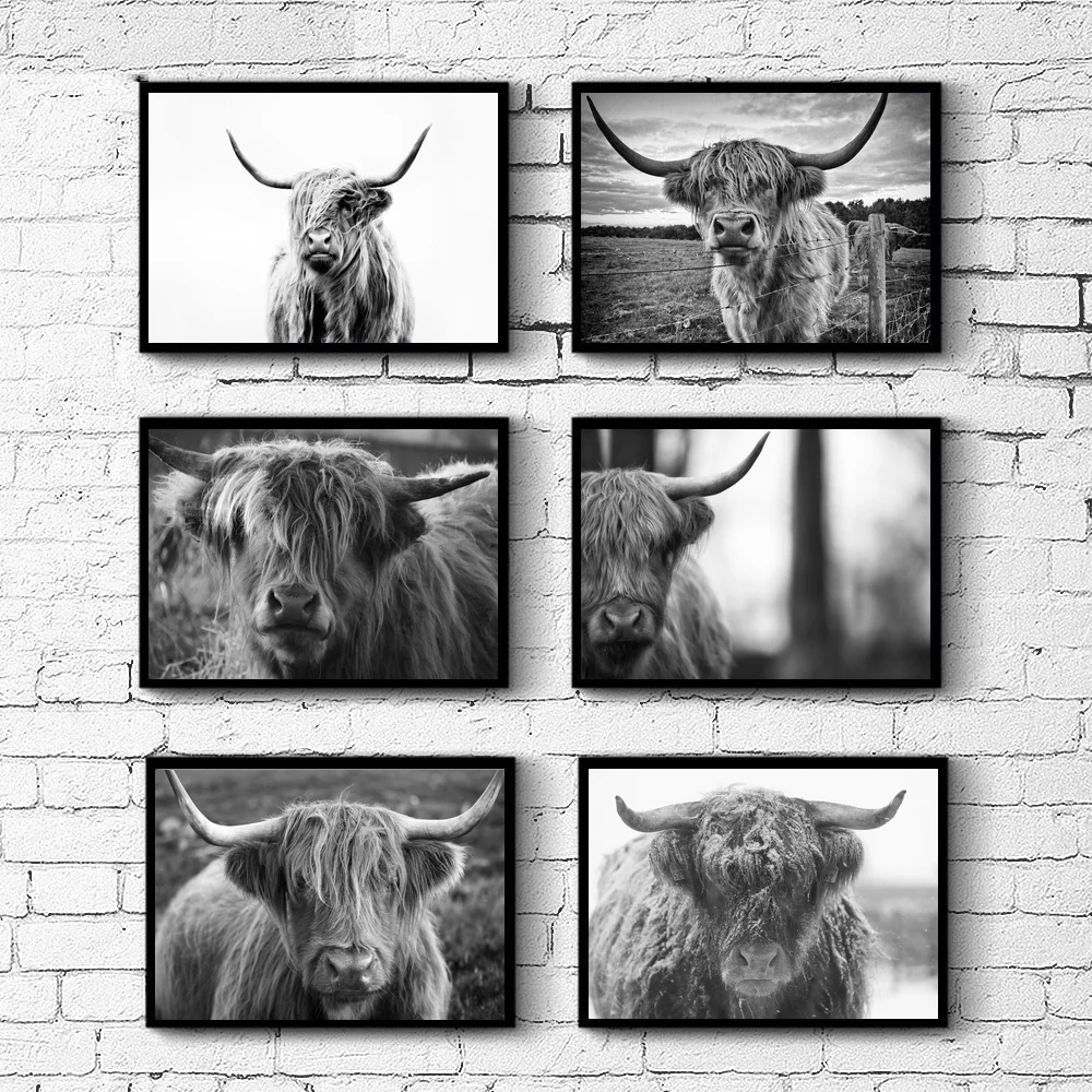 Highland Cow Farm Animal Highland Bull Wall Art Paint Wall Decor Canvas Prints Canvas Art Poster Oil Paintings No Frame
Highland Cow Farm Animal Highland Bull Wall Art Paint Wall Decor Canvas Prints Canvas Art Poster Oil Paintings No Frame