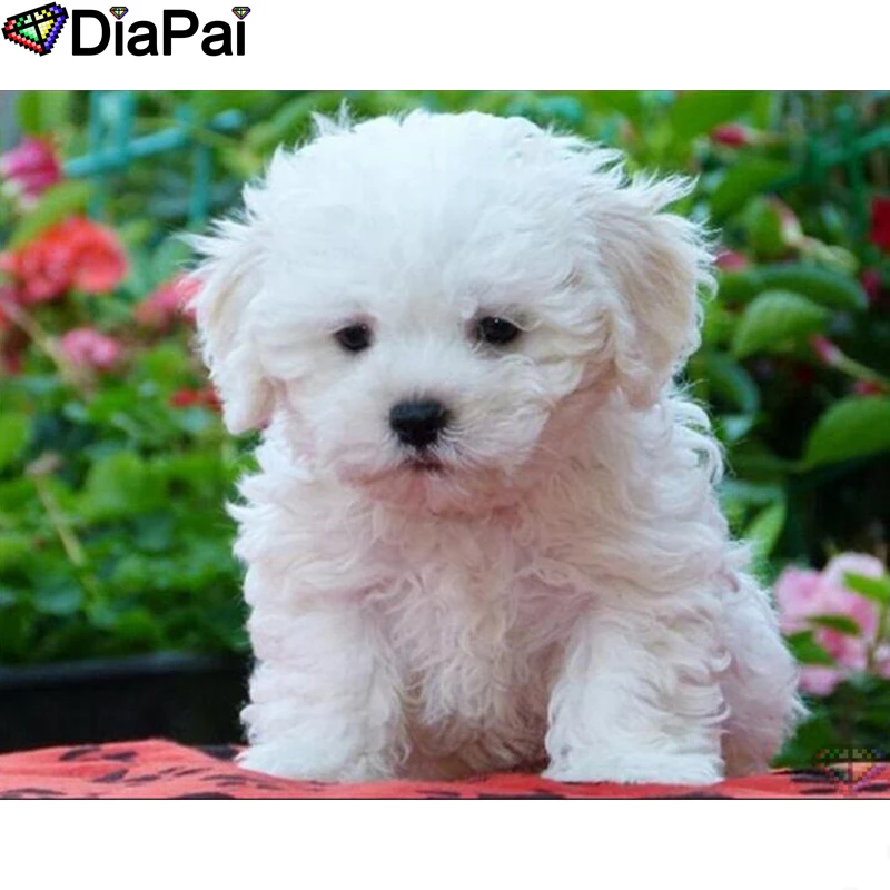 DIAPAI 5D DIY Diamond Painting 100% Full Square/Round Drill "Animal dog" Diamond Embroidery Cross Stitch 3D Decor A22164
DIAPAI 5D DIY Diamond Painting 100% Full Square/Round Drill "Animal dog" Diamond Embroidery Cross Stitch 3D Decor A22164