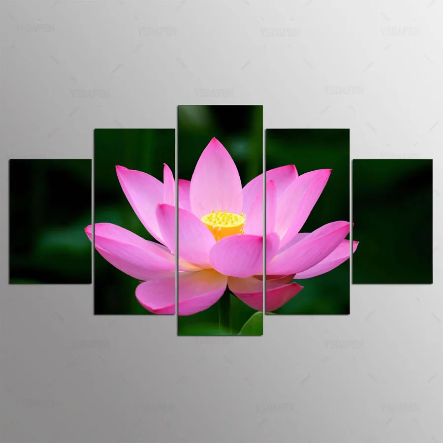 5 panel painting HD printed painting red lotus canvas home decor wall art picture for living room kn-273
5 panel painting HD printed painting red lotus canvas home decor wall art picture for living room kn-273
