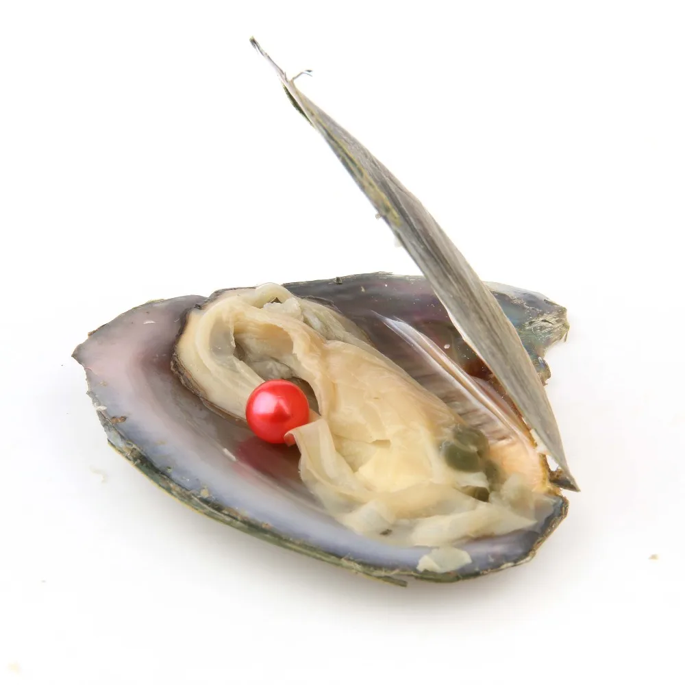 Pearls in the Oysters Freshwater Cultured Love Wish Pearl Oysters with 7-8 mm Round Pearls Inside Birthday Gifts
Pearls in the Oysters Freshwater Cultured Love Wish Pearl Oysters with 7-8 mm Round Pearls Inside Birthday Gifts
