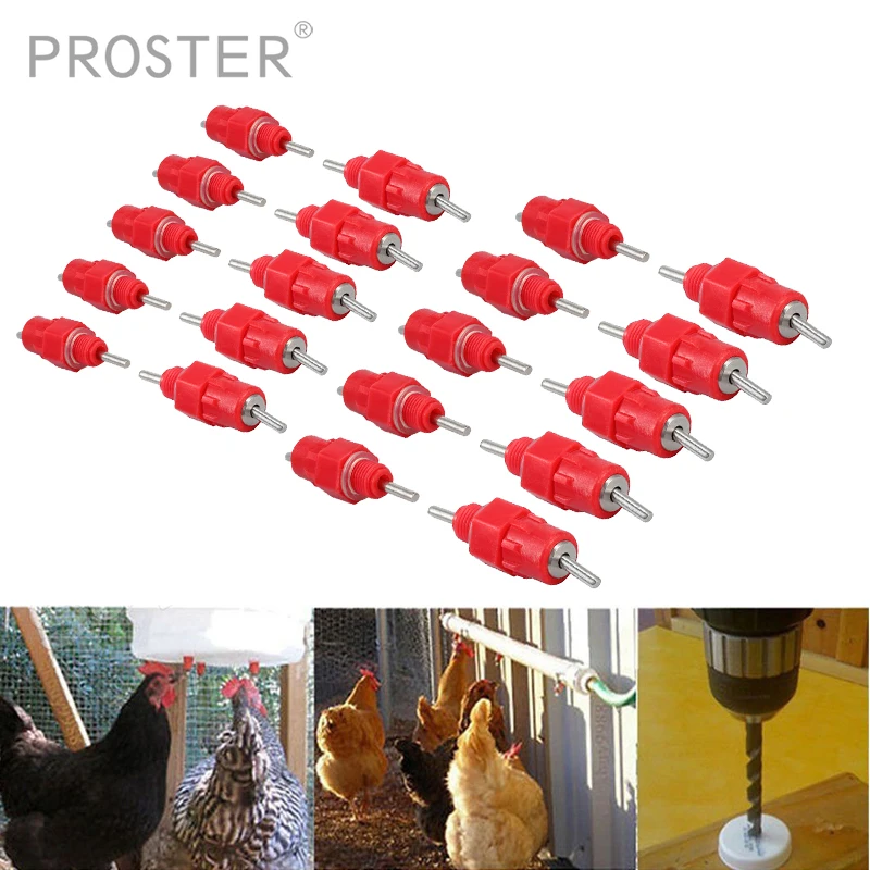 Proster 20 Pcs Water Nipple Valves Auto Drinker Waterer Feeder Poultry Chicken Duck Bird Chicken Water Nipple Drinkers Feeder
Proster 20 Pcs Water Nipple Valves Auto Drinker Waterer Feeder Poultry Chicken Duck Bird Chicken Water Nipple Drinkers Feeder
