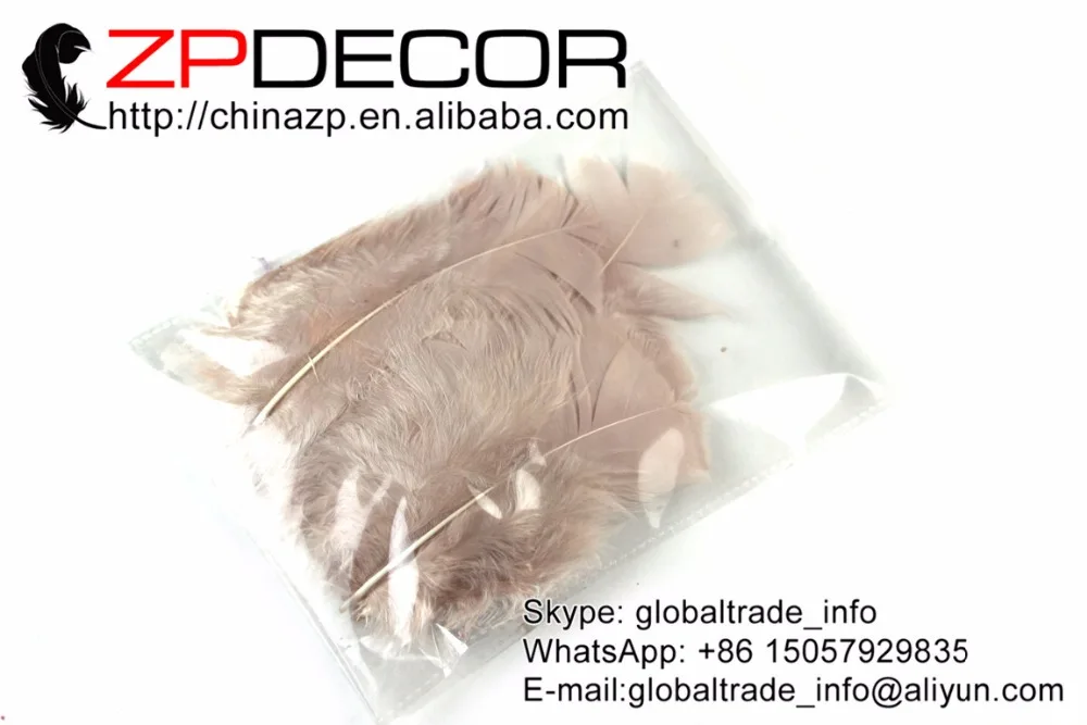 Retail and Wholesale from ZPDECOR Factory 500pcs/lot Handcraft Ivory Turkey Fluff Flat T-Base Plumage Feather for Wedding Decor
Retail and Wholesale from ZPDECOR Factory 500pcs/lot Handcraft Ivory Turkey Fluff Flat T-Base Plumage Feather for Wedding Decor