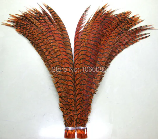 Wholesale 80pcs 30-35inch 80-90cm Orange dyed pheasant tail feather,Lady amherst side pheasant feather tails
Wholesale 80pcs 30-35inch 80-90cm Orange dyed pheasant tail feather,Lady amherst side pheasant feather tails