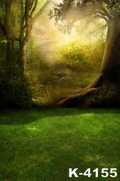 Background Photo Studio Forest 5x7ft Sunshine Props Photography Backdrops Computer-Painted Vinyl Digital Background Spring Photo
Background Photo Studio Forest 5x7ft Sunshine Props Photography Backdrops Computer-Painted Vinyl Digital Background Spring Photo