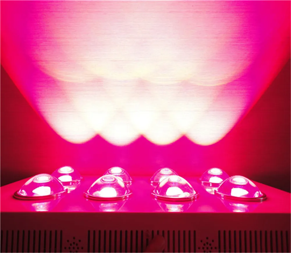 50w 100w 200w 300w 400w led grow lamp cob light G3 PRO red blue for indoor greenhouse plants
50w 100w 200w 300w 400w led grow lamp cob light G3 PRO red blue for indoor greenhouse plants