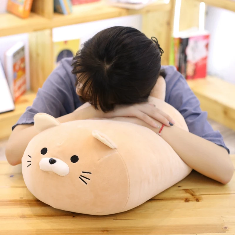 1PC 40/50cm Cute Fat Cat Plush Toy for Children Girls Soft Animal Cartoon Pillow Cushion Stuffed Lovely Kids Birthyday Gift
1PC 40/50cm Cute Fat Cat Plush Toy for Children Girls Soft Animal Cartoon Pillow Cushion Stuffed Lovely Kids Birthyday Gift