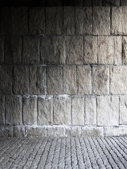 VinylBDS Thick Cloth Background Photography Brick Wall Floor Photography Free Digital Backdrop Wedding Backdrop For Children
VinylBDS Thick Cloth Background Photography Brick Wall Floor Photography Free Digital Backdrop Wedding Backdrop For Children