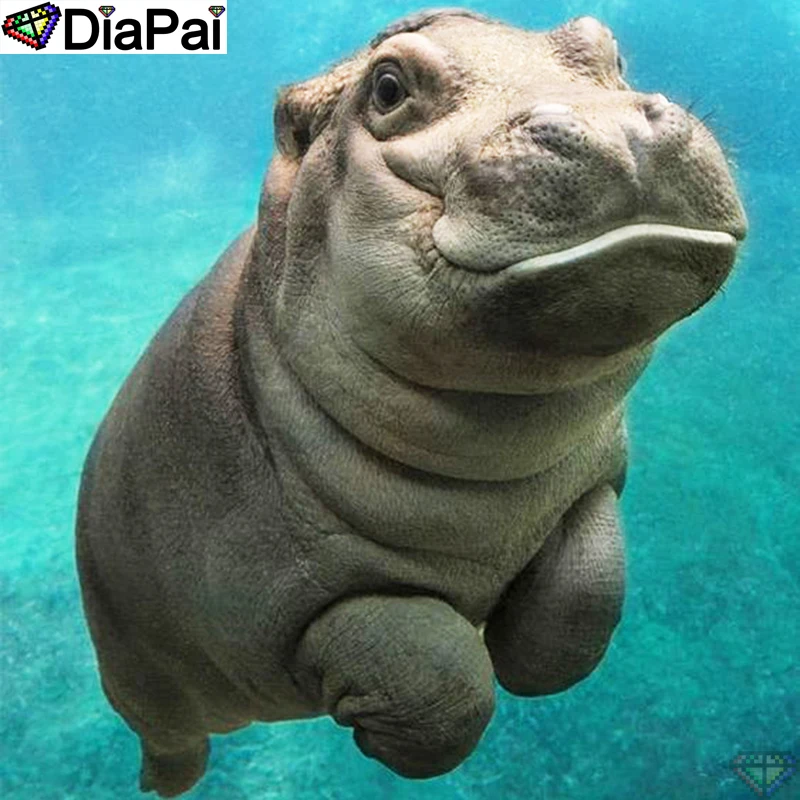 DiaPai 5D DIY Diamond Painting 100% Full Square/Round Drill "Animal hippo" Diamond Embroidery Cross Stitch 3D Decor A22187
DiaPai 5D DIY Diamond Painting 100% Full Square/Round Drill "Animal hippo" Diamond Embroidery Cross Stitch 3D Decor A22187