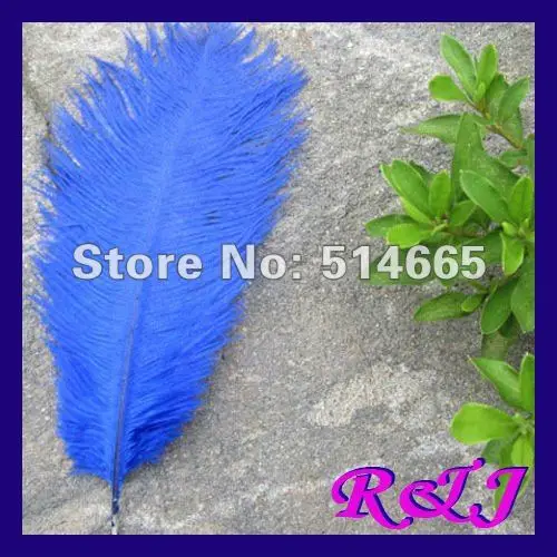 Wholesale 50PCS 18-20inch 45-50cm blue OSTRICH FEATHER real ostrich drab feather EMS Free Shipping
Wholesale 50PCS 18-20inch 45-50cm blue OSTRICH FEATHER real ostrich drab feather EMS Free Shipping