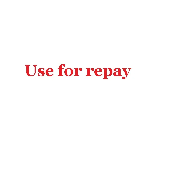 Repay