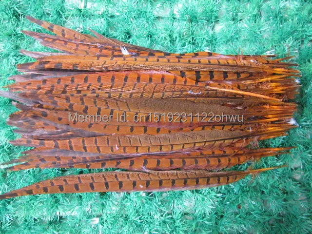 Wholesale 100 pcs beautiful Orange Pheasant Feather 14-16 inches 35-40 cm free shipping
Wholesale 100 pcs beautiful Orange Pheasant Feather 14-16 inches 35-40 cm free shipping